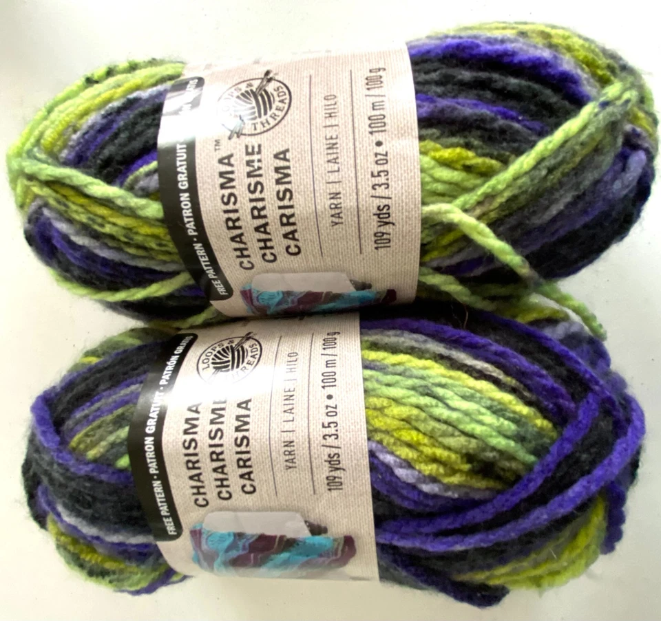 2 Skein Lot Loops Threads Charisma Bulky 5 Chunky Yarn Acrylic Solid Variegated - Image 1 of 1