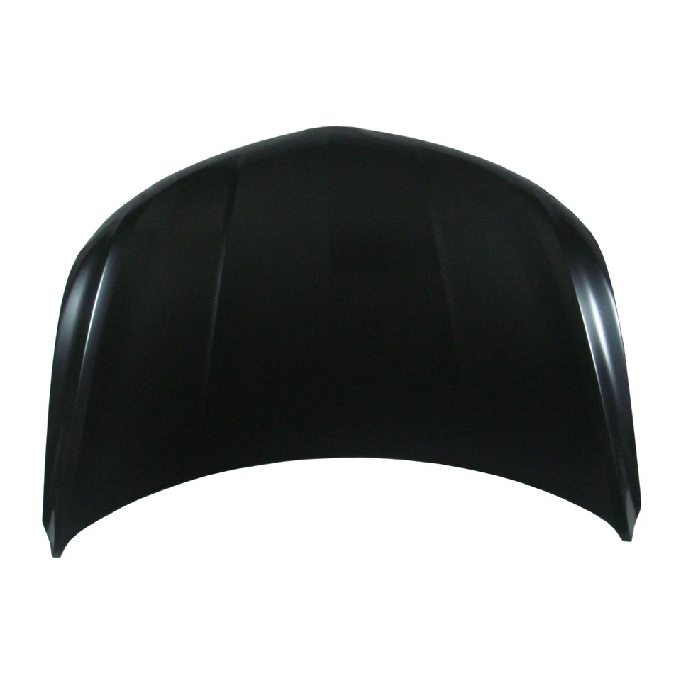 New Hood Panel Direct Replacement Fits 2016-2018 Lincoln MKX Foto 1 de 1