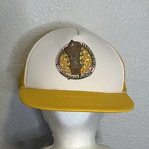 Vintage Truckers Hat OS 1st Annual Midsummer Bluegrass Festival Aug 3, 4, 5 1985 - Picture 1 of 9