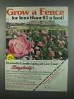 1984 Jackson & Perkins Hedge Rose Ad - Grow a Fence