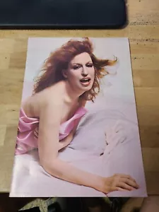 1973 Vintage BETTE MIDLER SOUVENIR PROGRAM - Picture 1 of 3