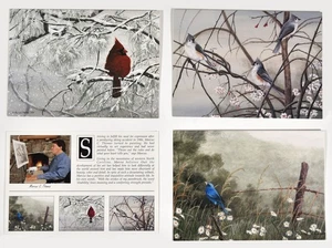 Marcus C. Thomas 3er Set Singvögel Notizkarten mit Umschlägen innen leer - Bild 1 von 10