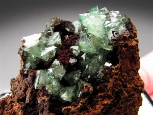 Thumbnail, Cuprian Adamite, Ojuela Mine, Mapimi, Mexico - Imagen 1 de 7