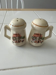 IOWA VINTAGE SALE E PEPE SHAKER MAIALI FATTORIA RUSTICO - Foto 1 di 4