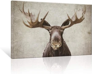 Moose Canvas Wall Art Rustic Cabin Decor Wildlife Pictures Print Elk Deer with B - Picture 1 of 8