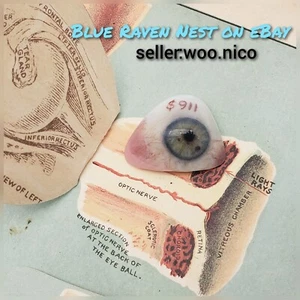 Vintage Prosthetic Plastic Eye Salesman Sample Human Eye Super Rare Painted - Picture 1 of 11