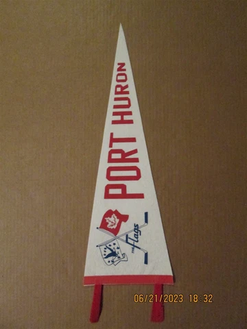IHL Port Huron The Flags Vintage Defunct Circa 1970's Team Logo Hockey Pennant Cover