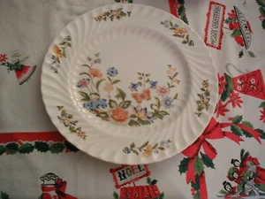 COTTAGE GARDEN BY JOHN AYNSLEY COMPLETE SERVICE FOR 2 SWIRL PATTERN 12 PIECES - Picture 1 of 12
