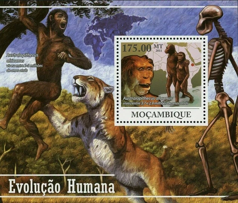Human Evolution Stamp Australopithecus Africanus Man S/S MNH #4473 / Bl.433 Cover