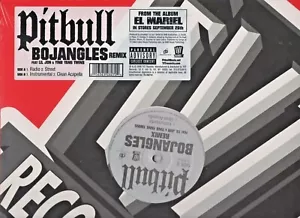 Pitbull Feat. LiL Jon & Ying Yang Twins Bojangles Remix Vinyl - Imagen 1 de 3