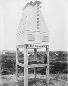 Municapal Bat Roost Vintage 8x10 Photography Reprint - Picture 1 of 1
