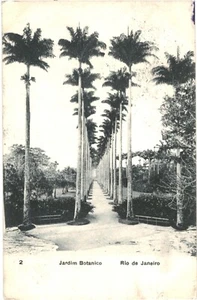 CPA-Carte Postale Brésil Rio de Janeiro Jardim Botanico VM54233ok - Picture 1 of 2