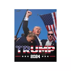 🇺🇸 Trump 2024 Eagle Poster Assassination Attempt Fight Rally Shooter 18x24in - Picture 1 of 3