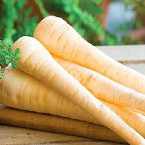 HOLLOW CROWN PARSNIP SEEDS Home Vegetable Garden Parsnip Seeds  - Image 1 of 1