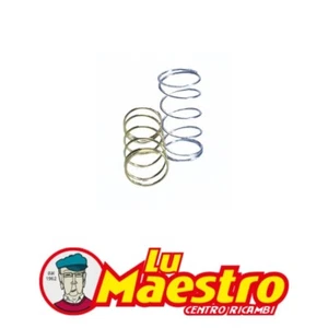 243020 Polini Variator Contrast Springs Kit for Honda Kymco Scooter - Picture 1 of 1