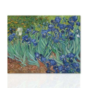 Quadro moderno Iris di Van Gogh Omaggio d'autore Tela in Cotone Riproduzione  - Picture 1 of 8