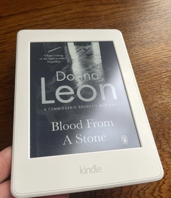 Amazon Kindle Paperwhite 7th Gen 6” 4GB Wi-Fi eReader eBook . Clean acc.  - Image 1 of 4