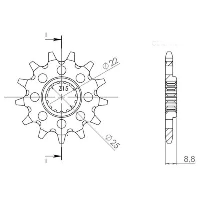 PIGNONE PASSO 520 - Z 13 DENTI BETA 250 X TRAINER 2020-2024 - Immagine 1 di 2