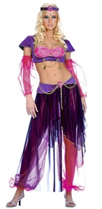 Belly Dancer Costume, Music Legs 70078, Adult Women's 6 Piece, Size S/M and M/L - Picture 1 of 3