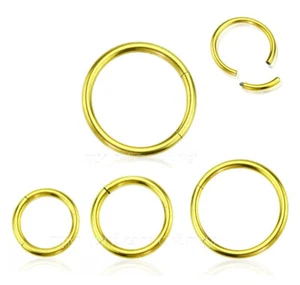 2 Stück. "Vergoldeter Segment Ring Ohr Septum Knorpel Nasenreifen 16g 14g 1/4""-1/2" - Bild 1 von 2