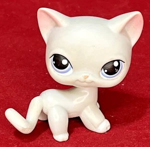 Littlest Pet Shop graue Kurzhaarkatze blaue Augen #246 2004 selten - Bild 1 von 3
