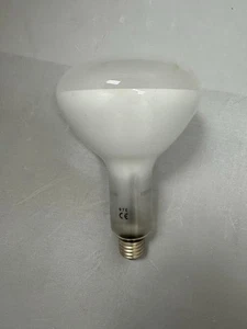 EYE Self Ballasted Mercury Lamp - 160W 120V R40 Flood Light - Picture 1 of 2