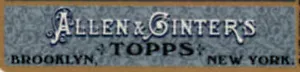 2011 Topps Allen & Ginter Mini bordo nero - a scelta U - Foto 1 di 8