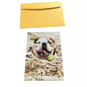 Tarjeta Feliz Cumpleaños AVANTI Bull Dog - Imagen 1 de 3