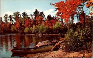 Greetings from MAINE The Pine Tree State VACATIONLAND boat Postcard - Picture 1 of 2