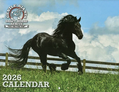 2026 Gentle Giants Draft Horse Rescue Color Calendar Free USPS Shipping in USA!