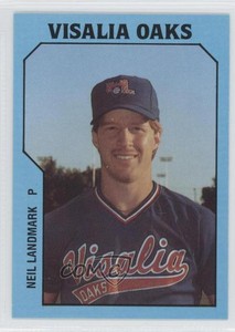 1985 TCMA Minor League Neil Landmark #861