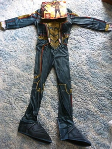 Marvel ANT-MAN AND THE WASP Halloween Costume - Picture 1 of 4