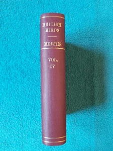 A History of British Birds, Morris, Vol. IV, Groombridge, re-bound, c1876 - Foto 1 di 24