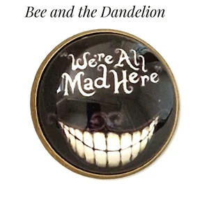 "WE'RE ALL MAD HERE" Quote  From Alice In Wonderland ~ Glass Button Pin Badge - Picture 1 of 3