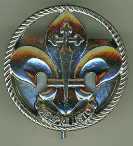 PENACHO/CUCARDA SIN PLUMAS DE LA ASOCIACION SCOUTS DE ESPAÑA # 808 - Imagen 1 de 1