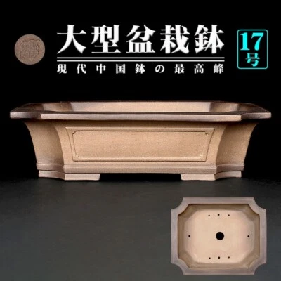 Bonsai Pot Clay Rectangular Pot with Trimmed Corners and Framed Rim Rare - Image 1 of 4