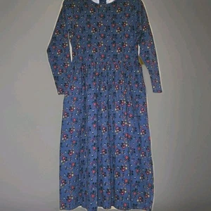 Hanna Andersson Hygge Floral Blue Heirloom Midi Dress LS Jumper Size S Glamour - Picture 1 of 7