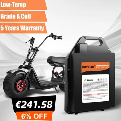 60V 20Ah Lithium-Ionen Akku BMS für Citycoco E-Scooter E-Bike Fahrrad Pedelec - Bild 1 von 4