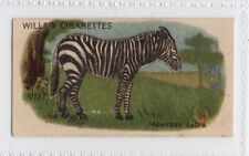 Wills cigarettes Die-cut Animals 1913 #25 Mountain Zebra