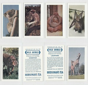 Horniman's Tea - Wild Animals (1958) - Type Cards/Odds