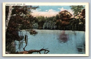 Postcard Maine Naples Bongo River Unposted c. 1920s M669 - Picture 1 of 2