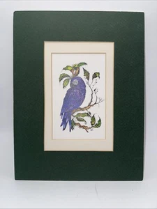 Hyacinth Macaw Pointillist Style Print Green Matted Ready For Frame 8”x10.5” Art - Picture 1 of 4
