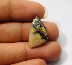 Dendrita Tigre Cabujón Dendrita Natural Dendrita Piedras Preciosas Sueltas Joyería 12 Cts. ME-8468 - Imagen 1 de 3