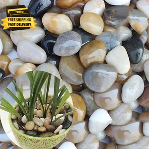 3 Lb River Rocks for Succulent Plants,Decorative Rocks Bonsai Garden Pebbles,Aq - Picture 1 of 5