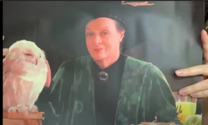 Geek Gear Wizardry Harry Potter McGonagall & Hedwig art print poster signed - Picture 1 of 2