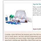 Top Fin Glass Fish Bowl Kit 🐠 Betta Cove Rare Goldfish Food Gift Aquarium SetOpens in a new window or tabBrand New