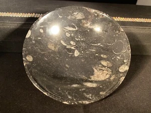 Orthoceras Fossil Bowl, Morocco, 168 Grams (Transformation/Root Chakra) - Picture 1 of 11