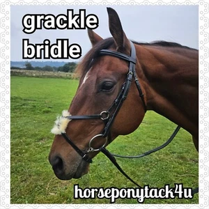 MEXICAN GRACKLE LEATHER BRIDLE WITH FLASH WITH RUBBER REINS PONY TO FULL - Picture 1 of 2