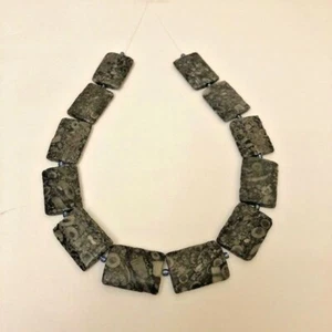 Beautiful Natural Fossil Agate Rectangle Beads 1 1/2" x 1", 14 pieces, New - Picture 1 of 3