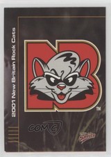 2001 Multi-Ad Sports New Britain Rock Cats New Britain Rock Cats Checklist #1